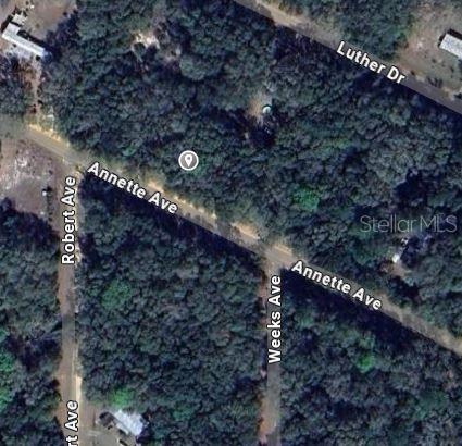 Annette Ave Property Photo 2
