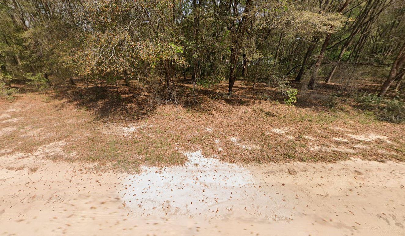 Annette Ave Property Photo 3