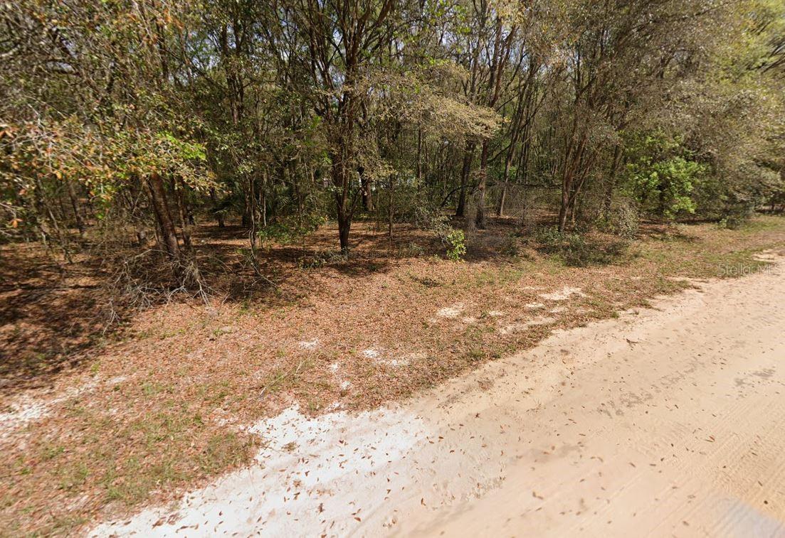 Annette Ave Property Photo 4