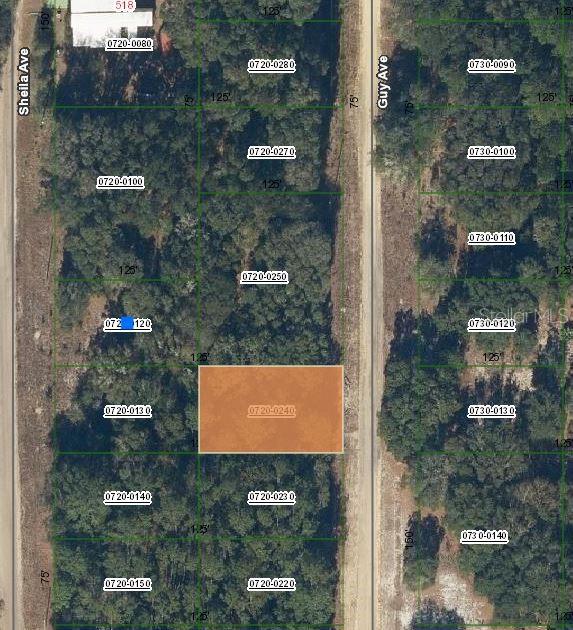 GUY AVE Property Photo 1