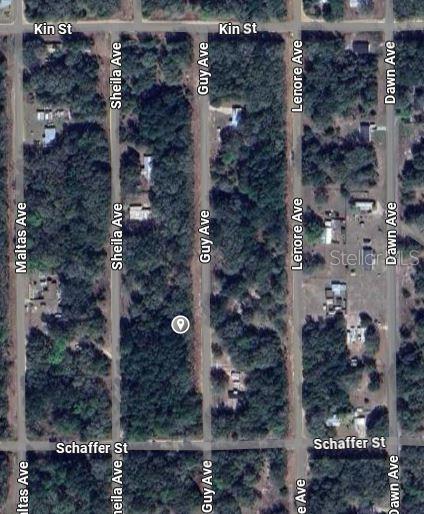 Guy Ave Property Photo 2
