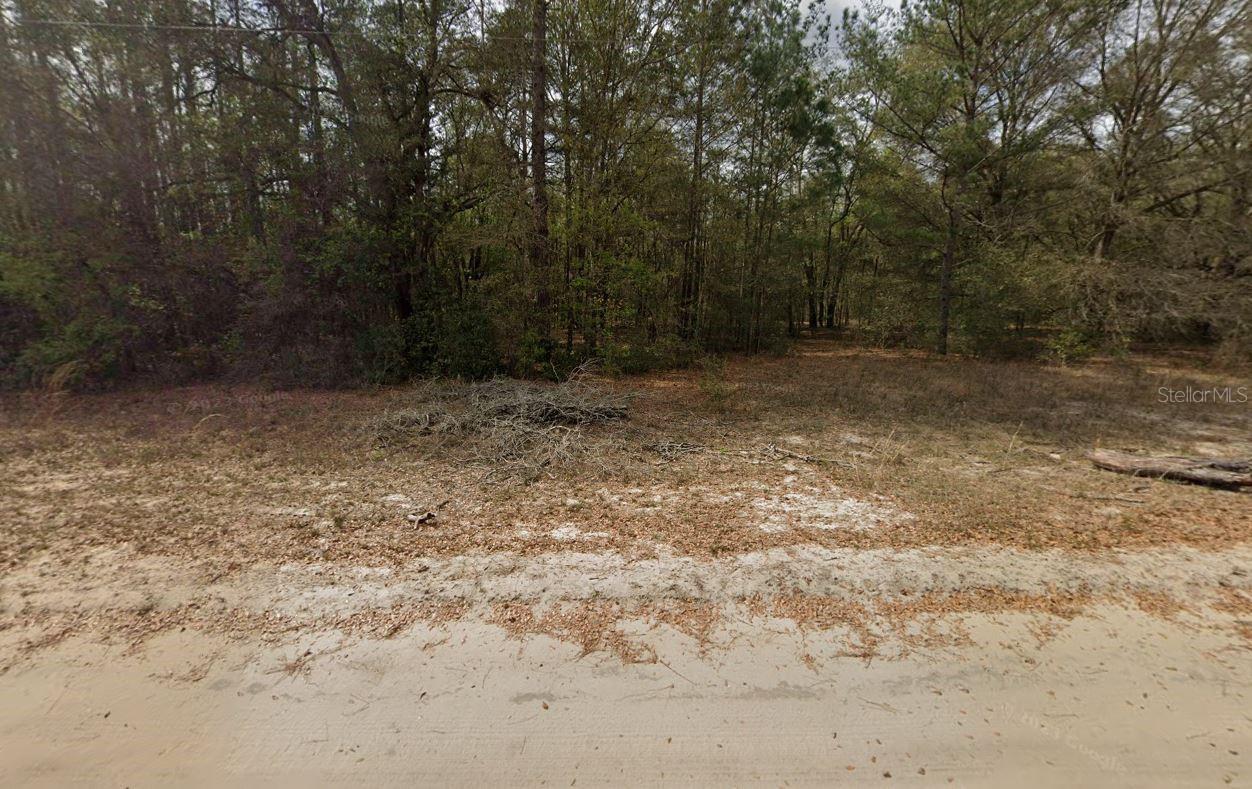 Guy Ave Property Photo 3