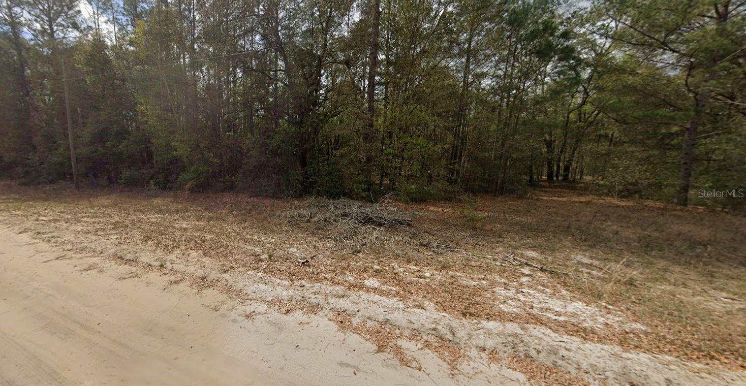 Guy Ave Property Photo 4