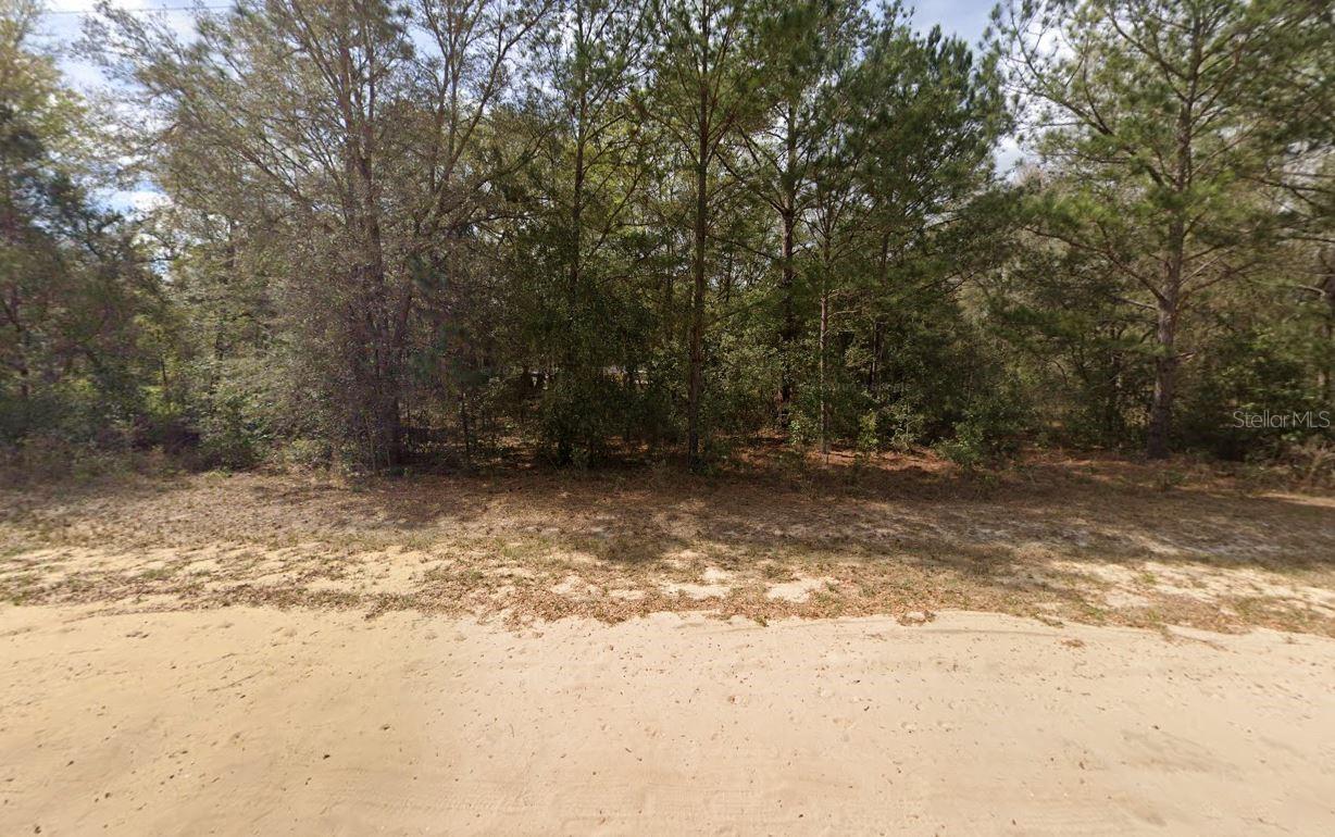 Lenore Ave Property Photo 3