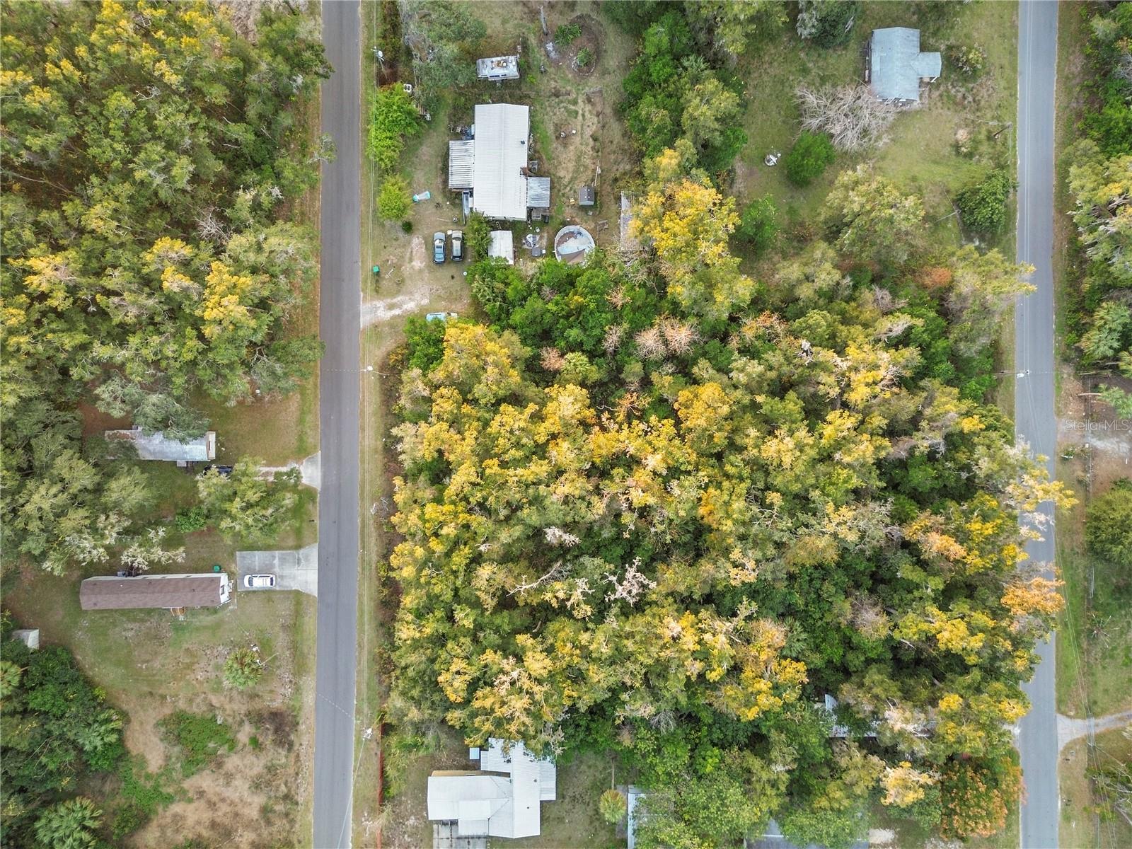 000 W Goldenleaf Ln Property Photo 6