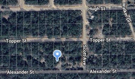 ALEXANDER ST Property Photo 1