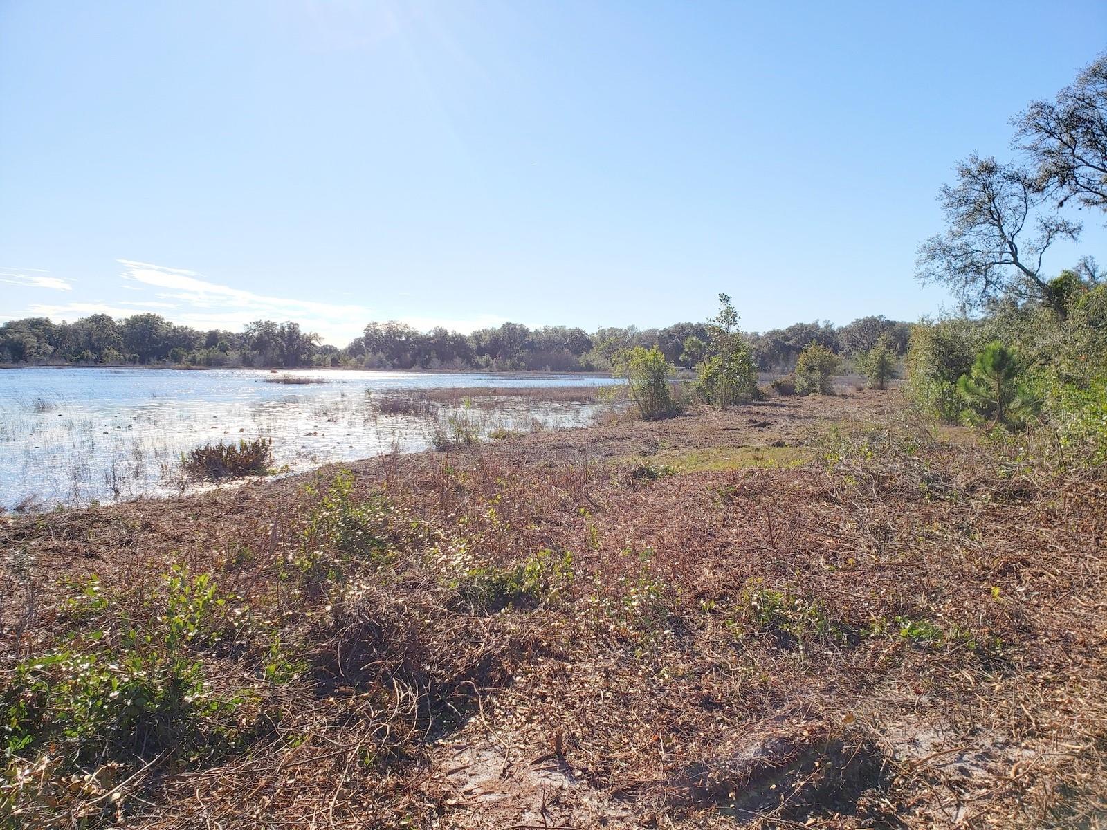 11.09ac Ne Hwy 315 Property Photo 1