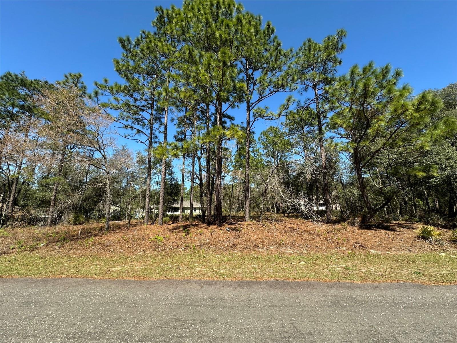 2077 W Linden Dr Property Photo 1
