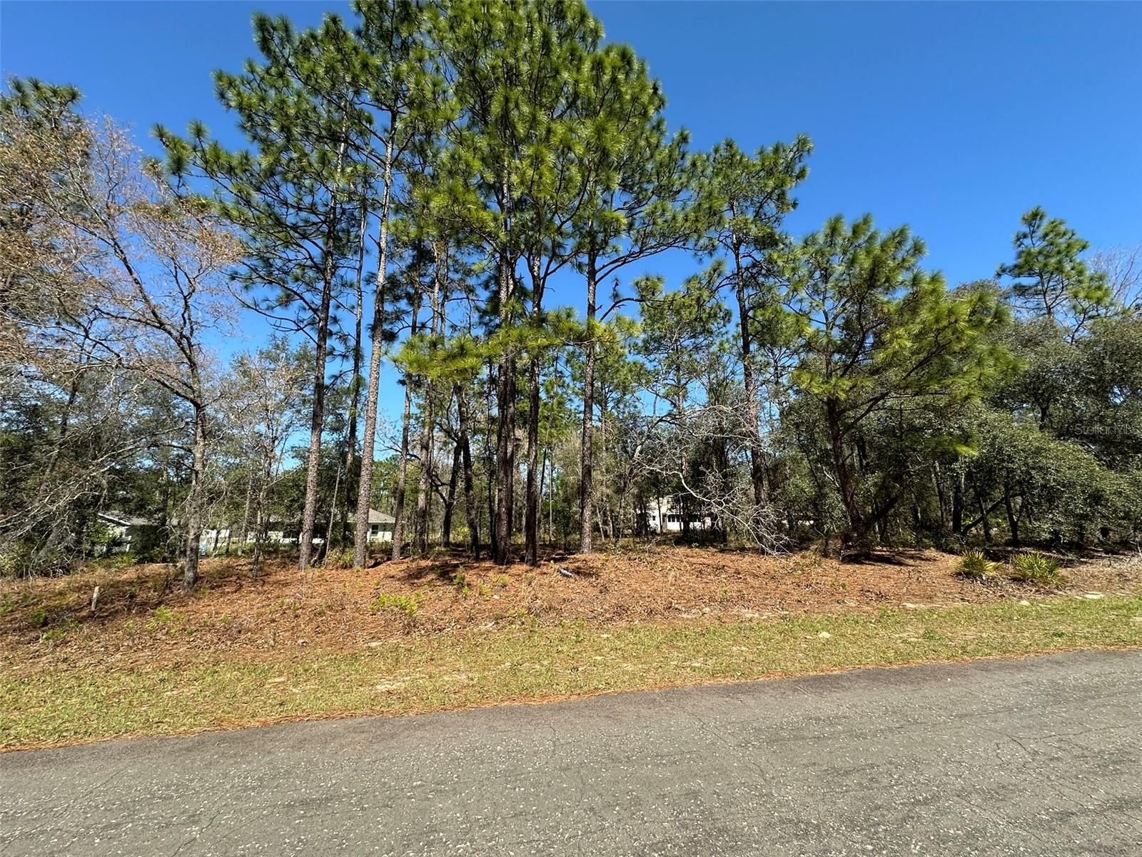 2077 W Linden Dr Property Photo 2