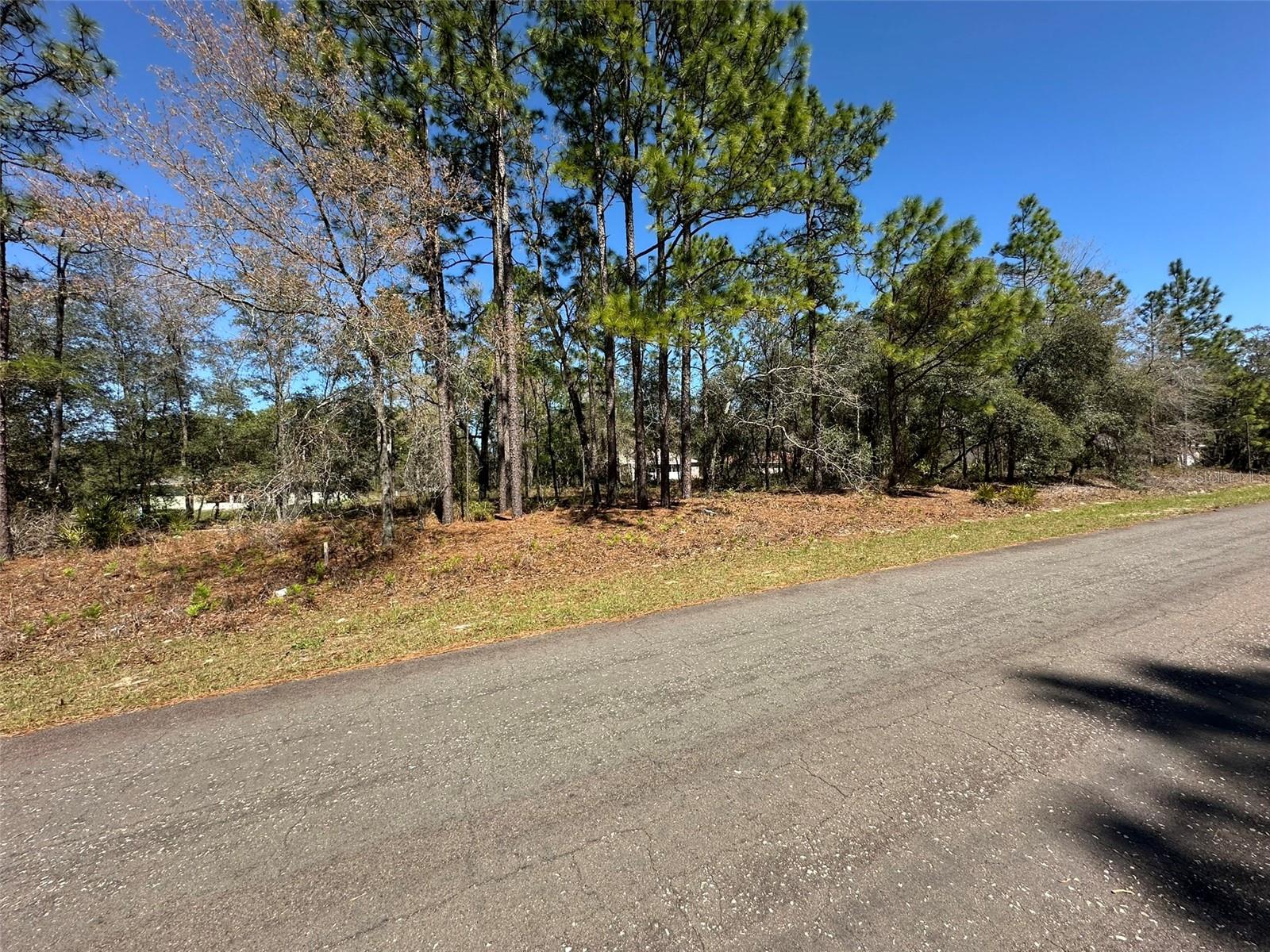 2077 W Linden Dr Property Photo 7