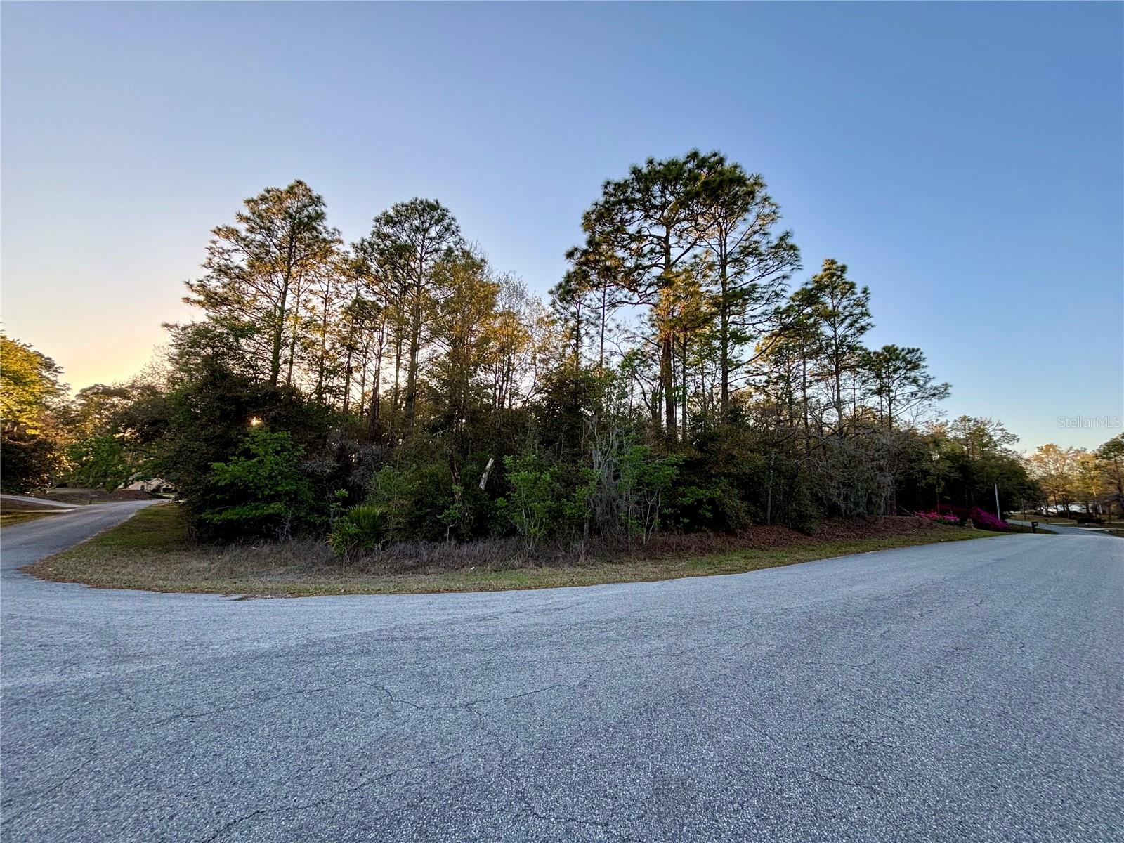 Lot 33 Sw 97 Pl Property Photo