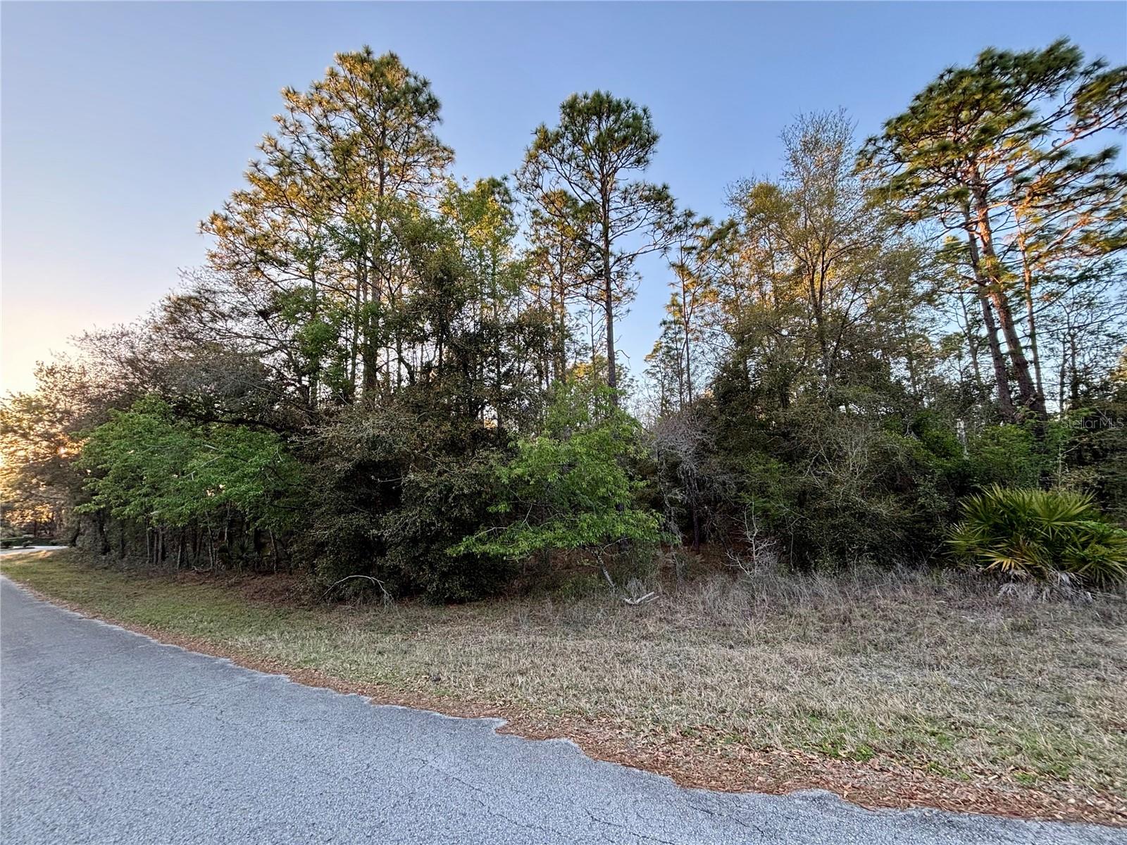 Lot 33 Sw 97 Pl Property Photo 2