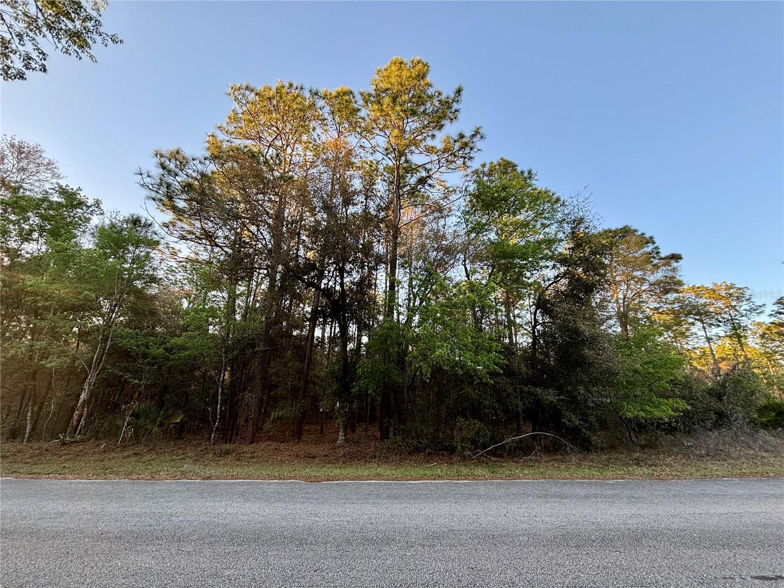 Lot 33 Sw 97 Pl Property Photo 3