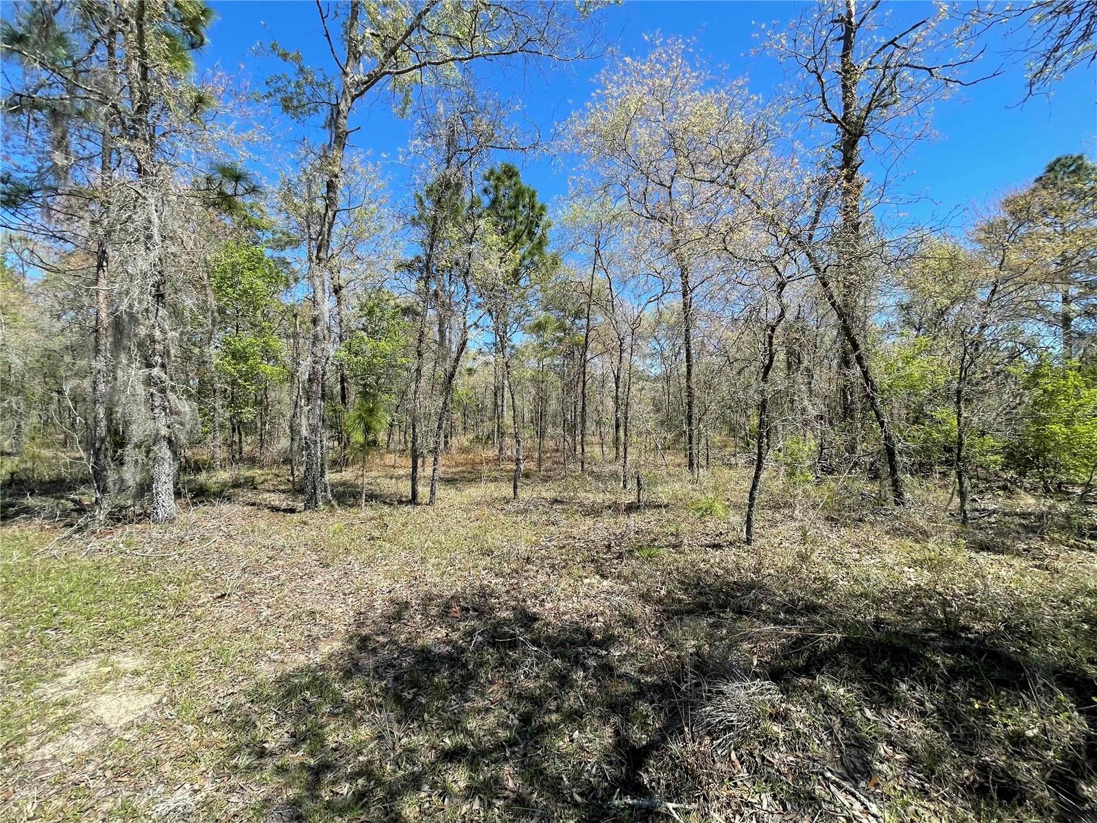 Lot 12 Se 117 Ter Property Photo