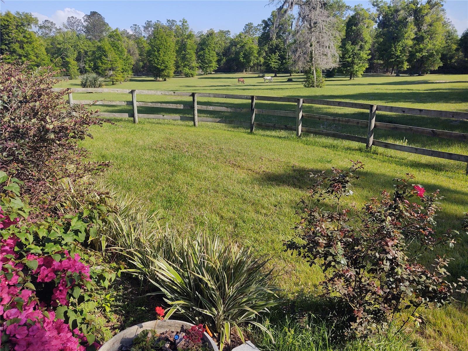 14515 W Highway 328 Property Photo 16