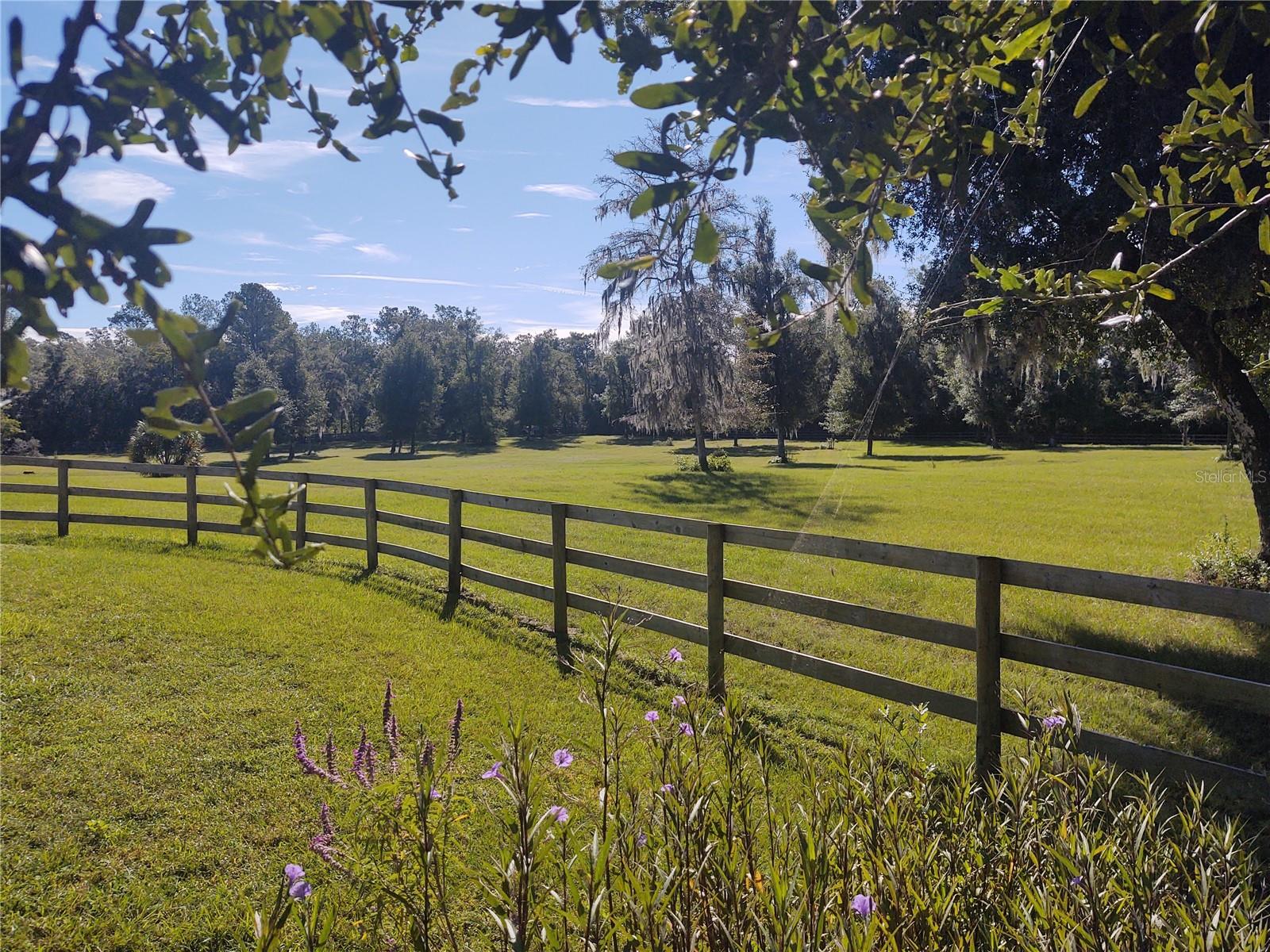 14515 W Highway 328 Property Photo 18