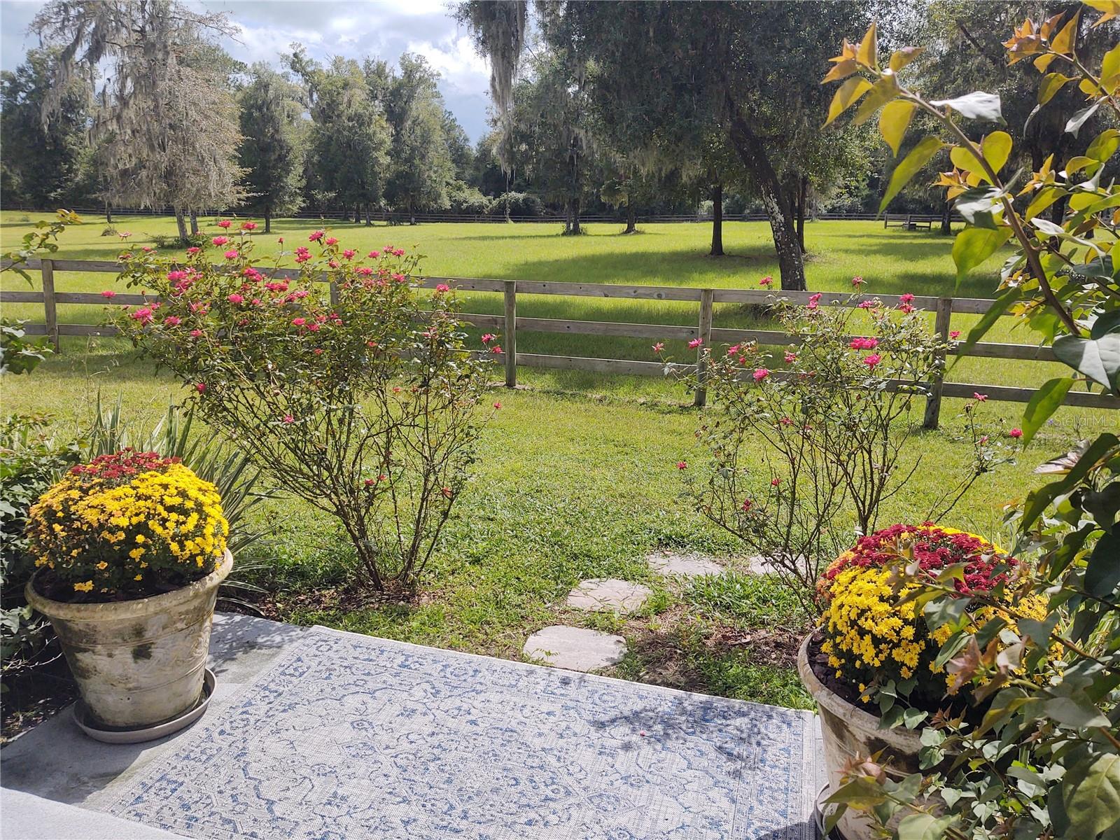 14515 W Highway 328 Property Photo 19