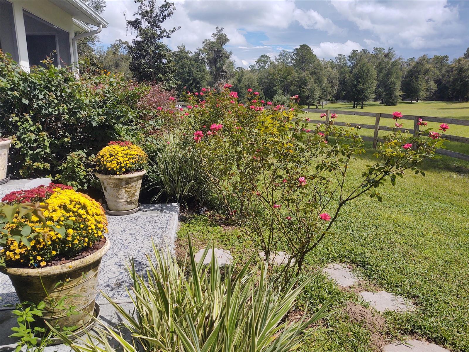 14515 W Highway 328 Property Photo 21