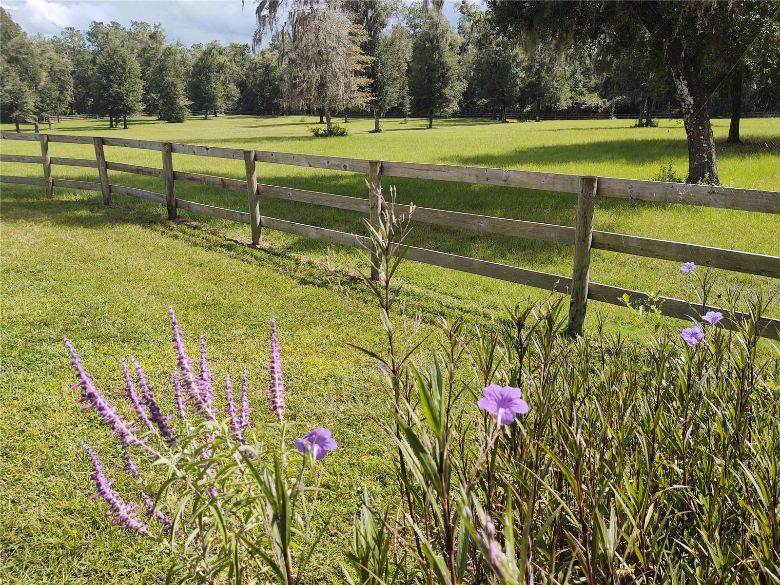 14515 W Highway 328 Property Photo 22