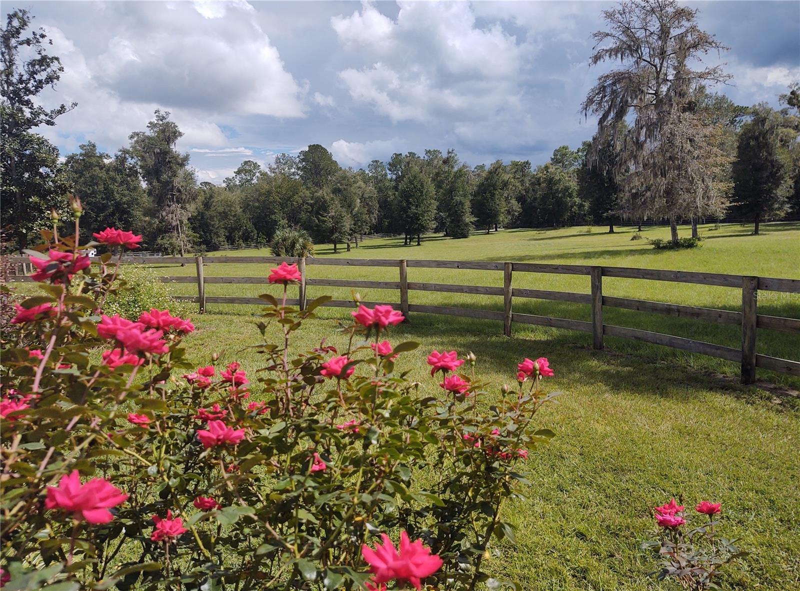 14515 W Highway 328 Property Photo 23