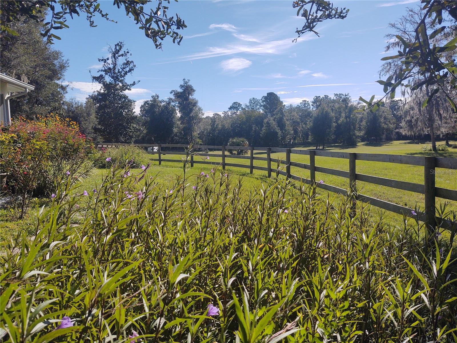 14515 W Highway 328 Property Photo 25