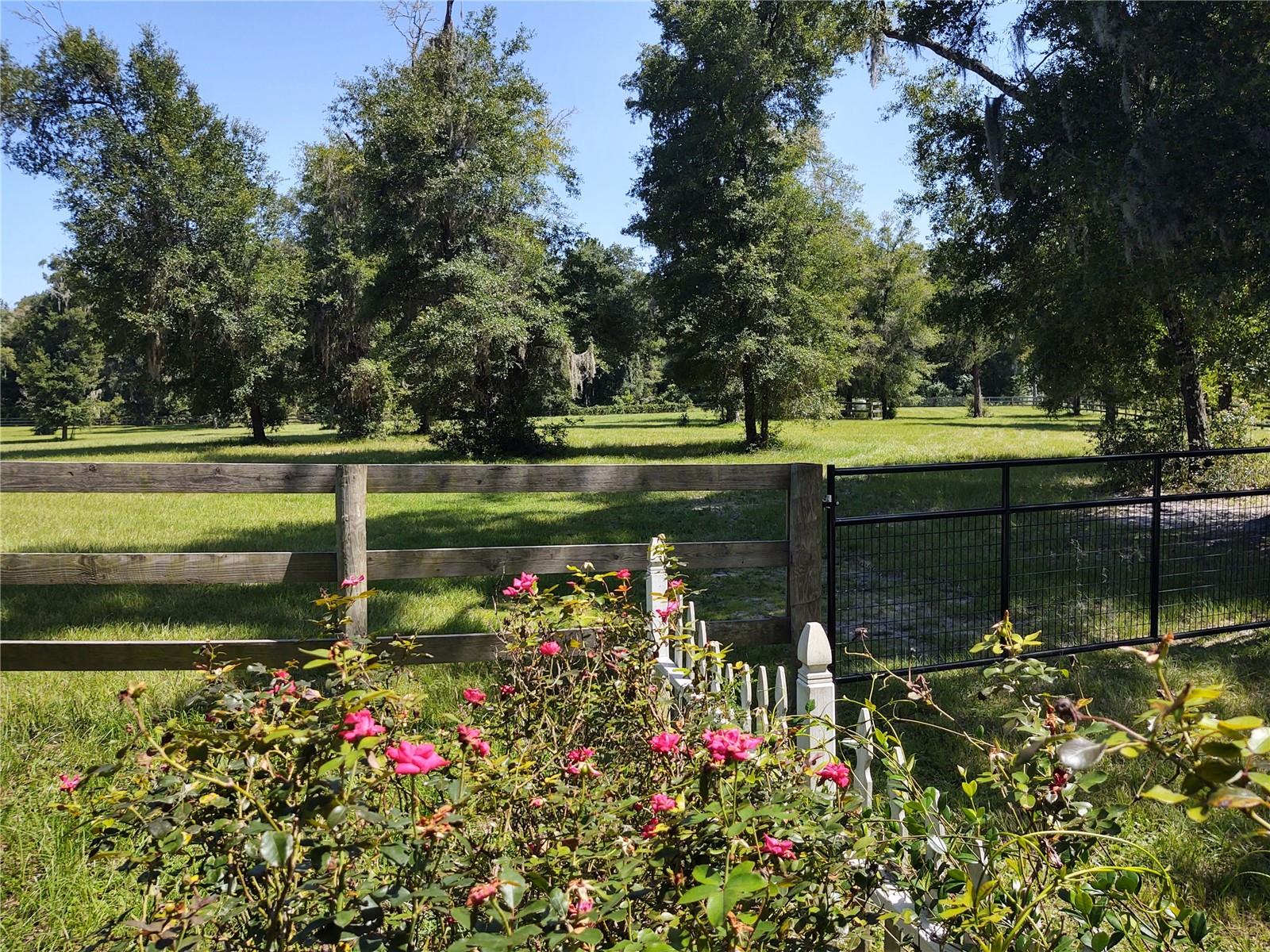 14515 W Highway 328 Property Photo 27