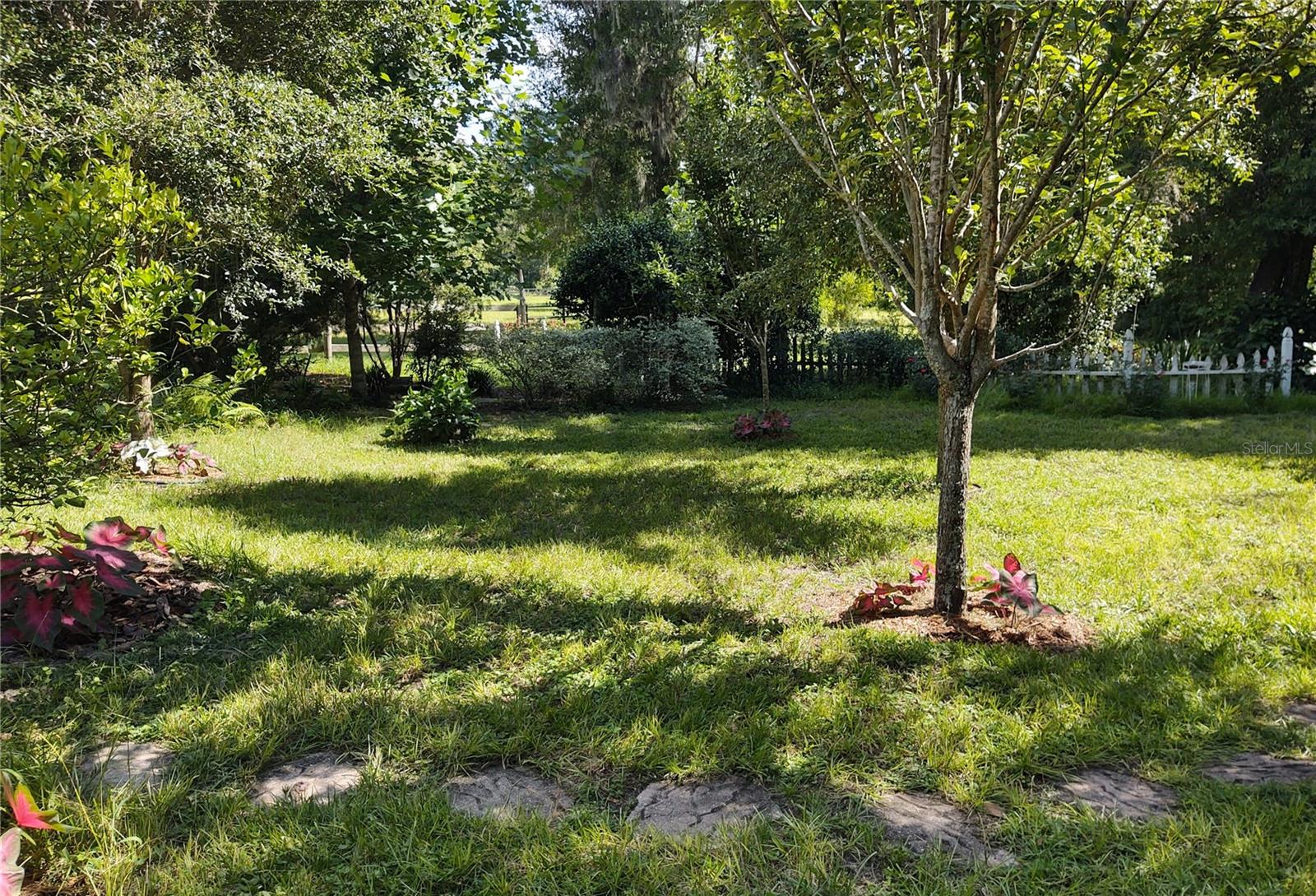 14515 W Highway 328 Property Photo 28