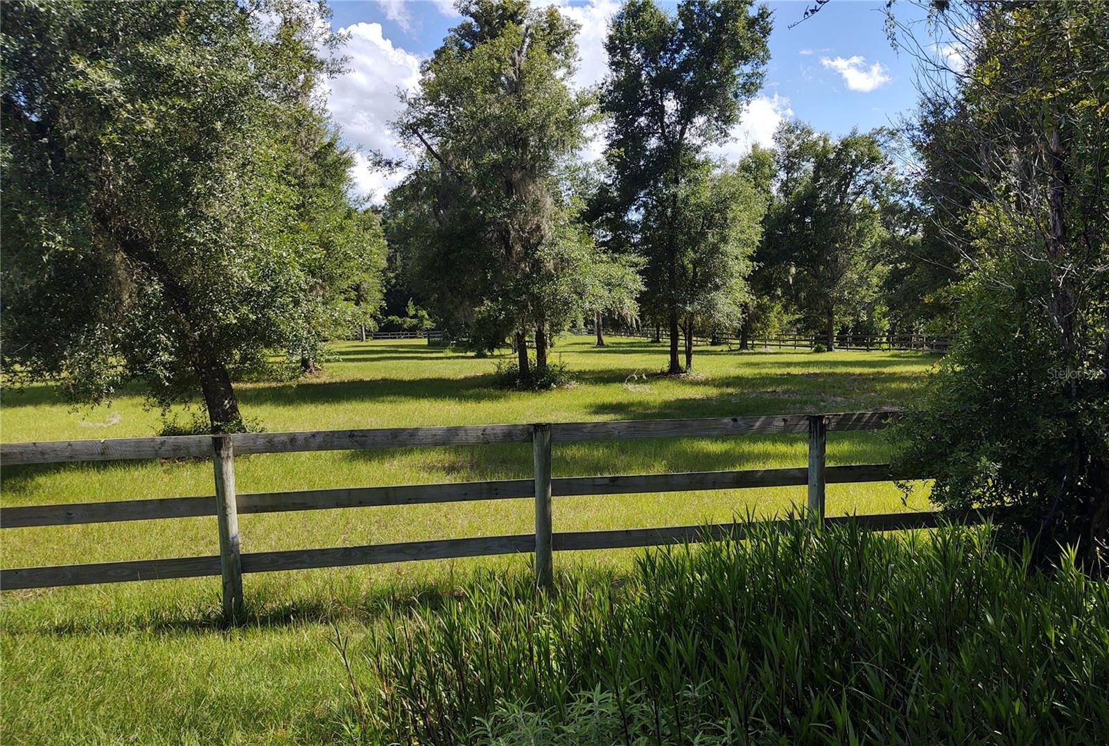 14515 W Highway 328 Property Photo 29