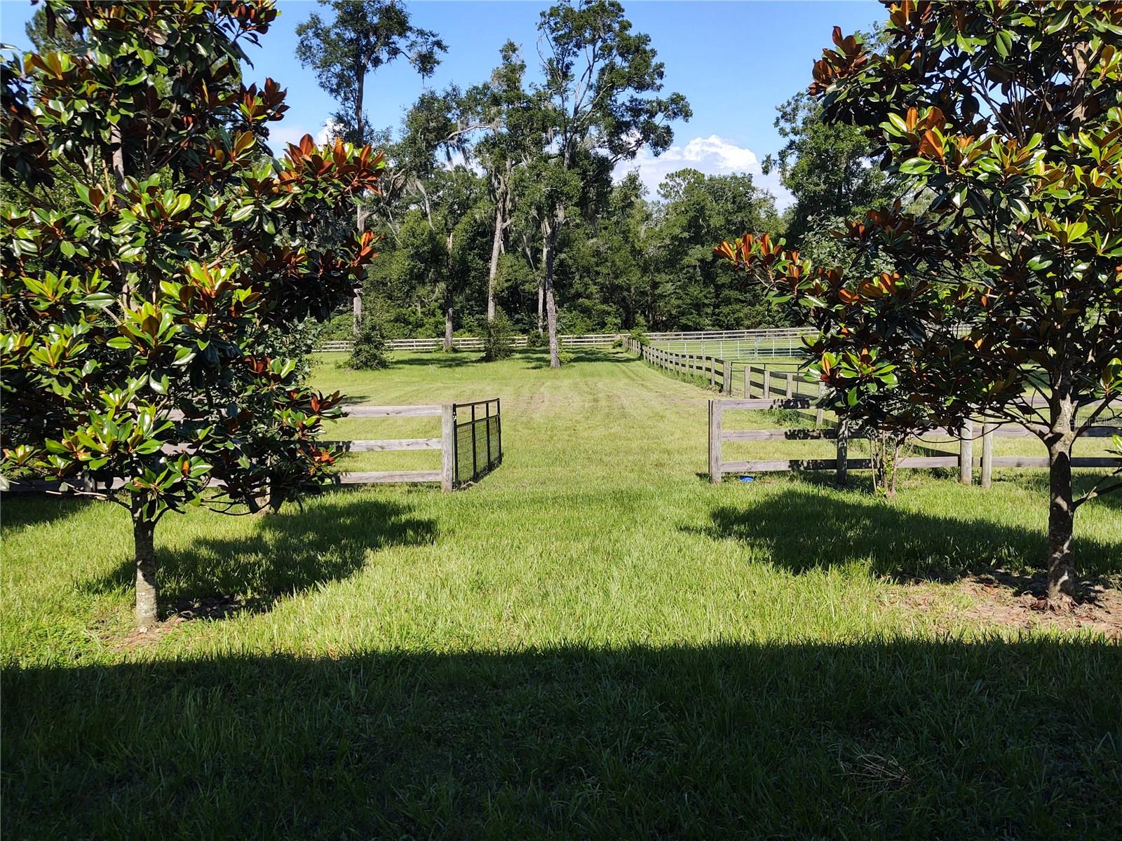 14515 W Highway 328 Property Photo 33