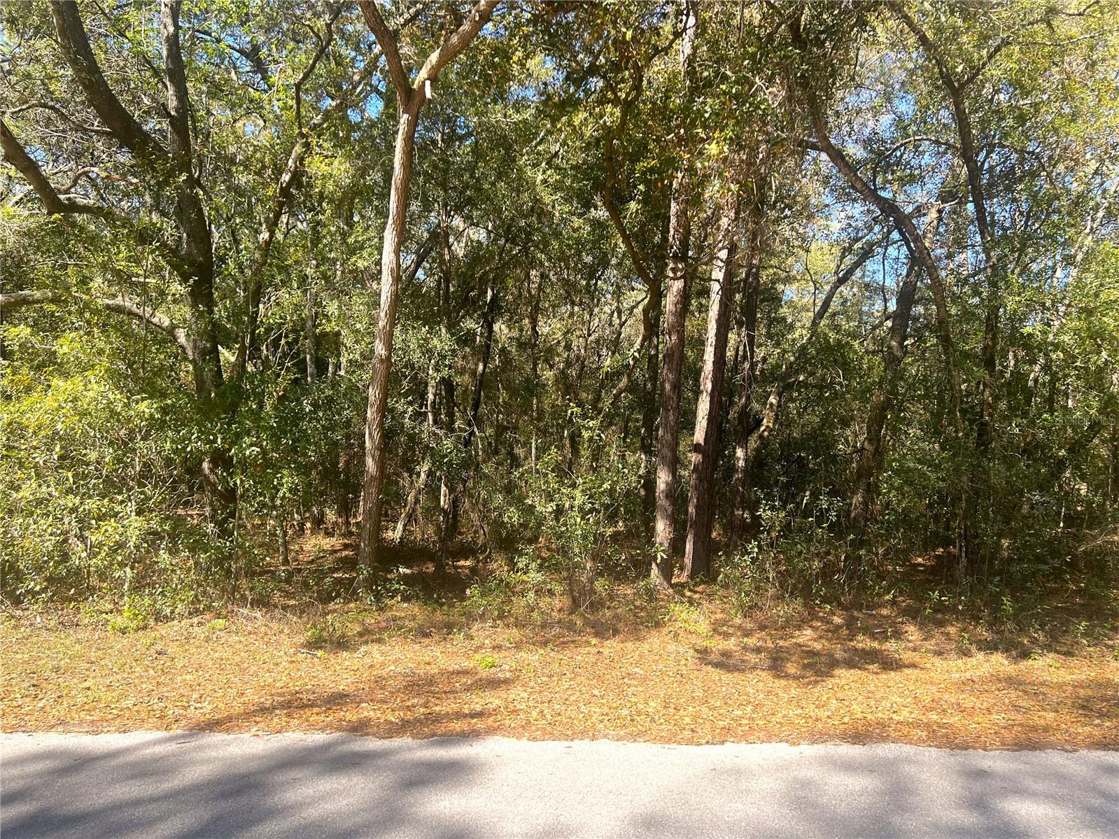 0000 Sw 199 Court Ct Property Photo