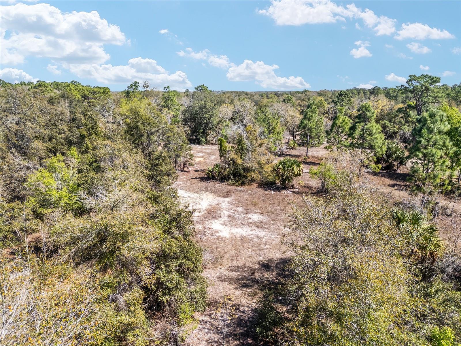 11861 N Pan An Ter Property Photo