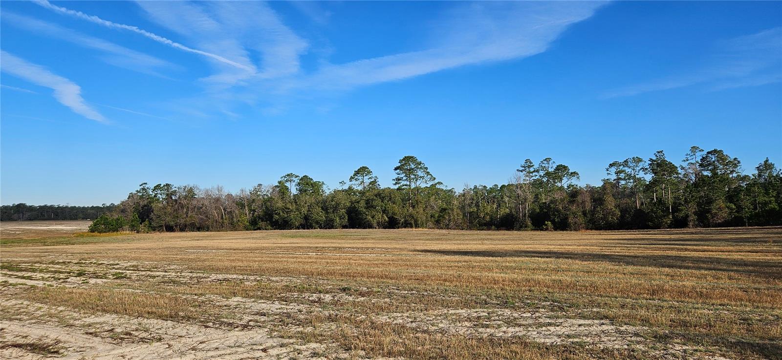 Lot 9 - 17.62ac E Hwy 318 Property Photo