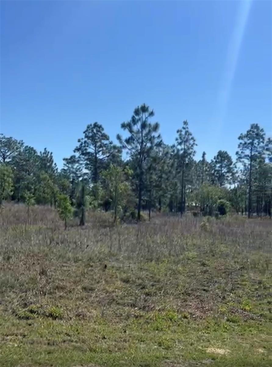 Tbd Sw Kerria Ct Property Photo