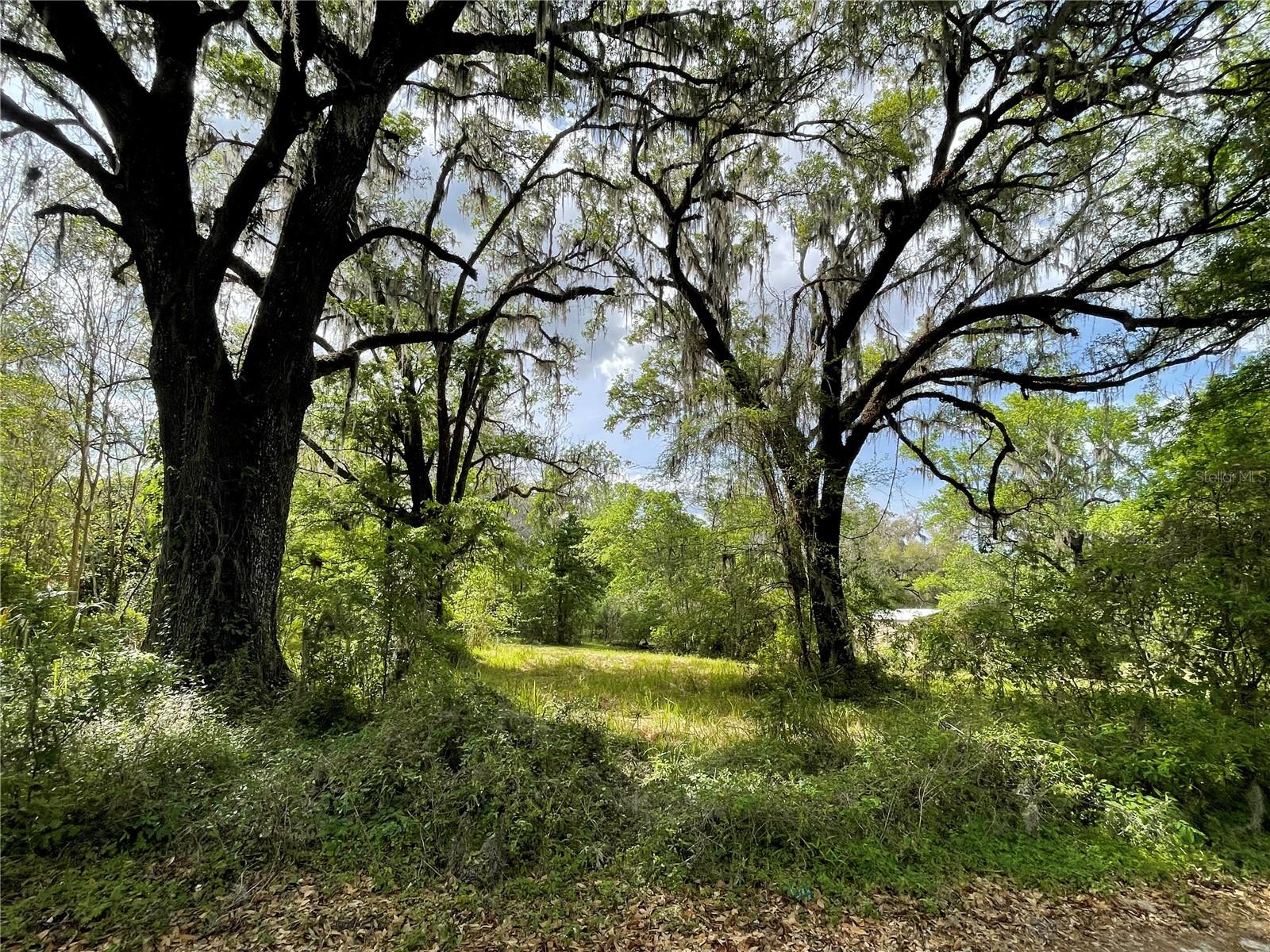 17400 Nw 120th Ave Rd Property Photo 1