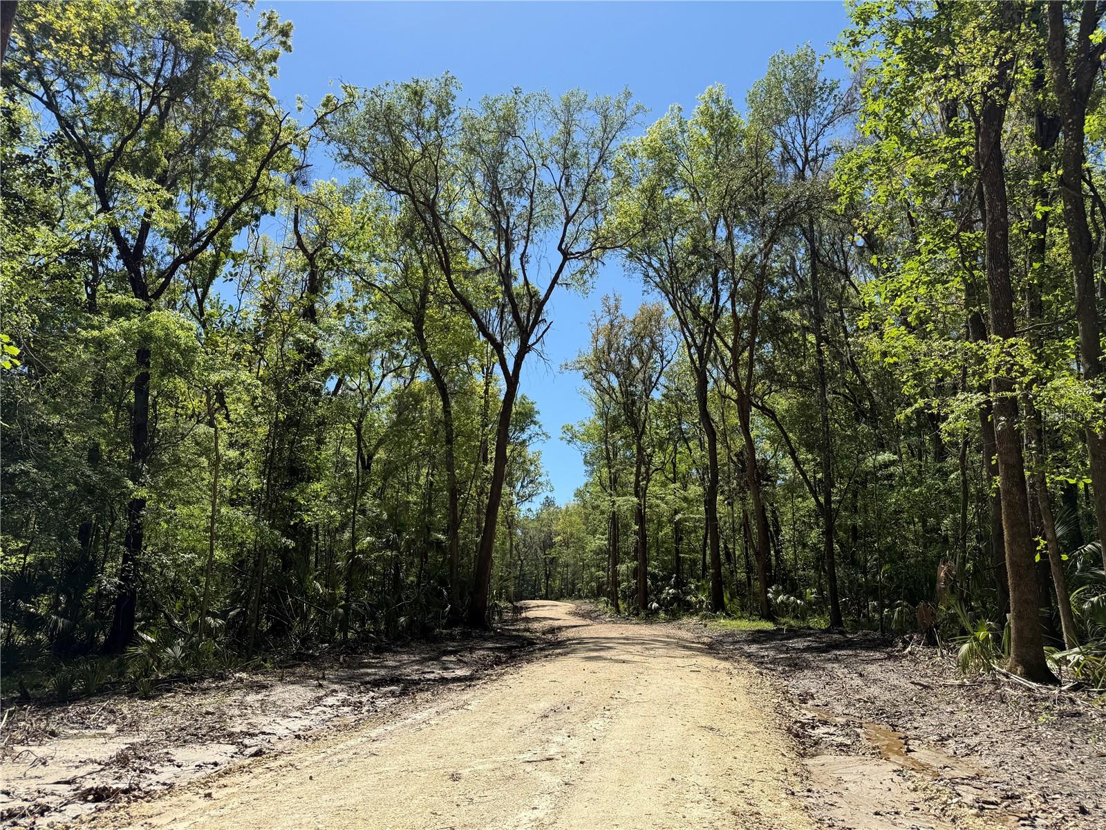 43ac Nw 193rd St Property Photo