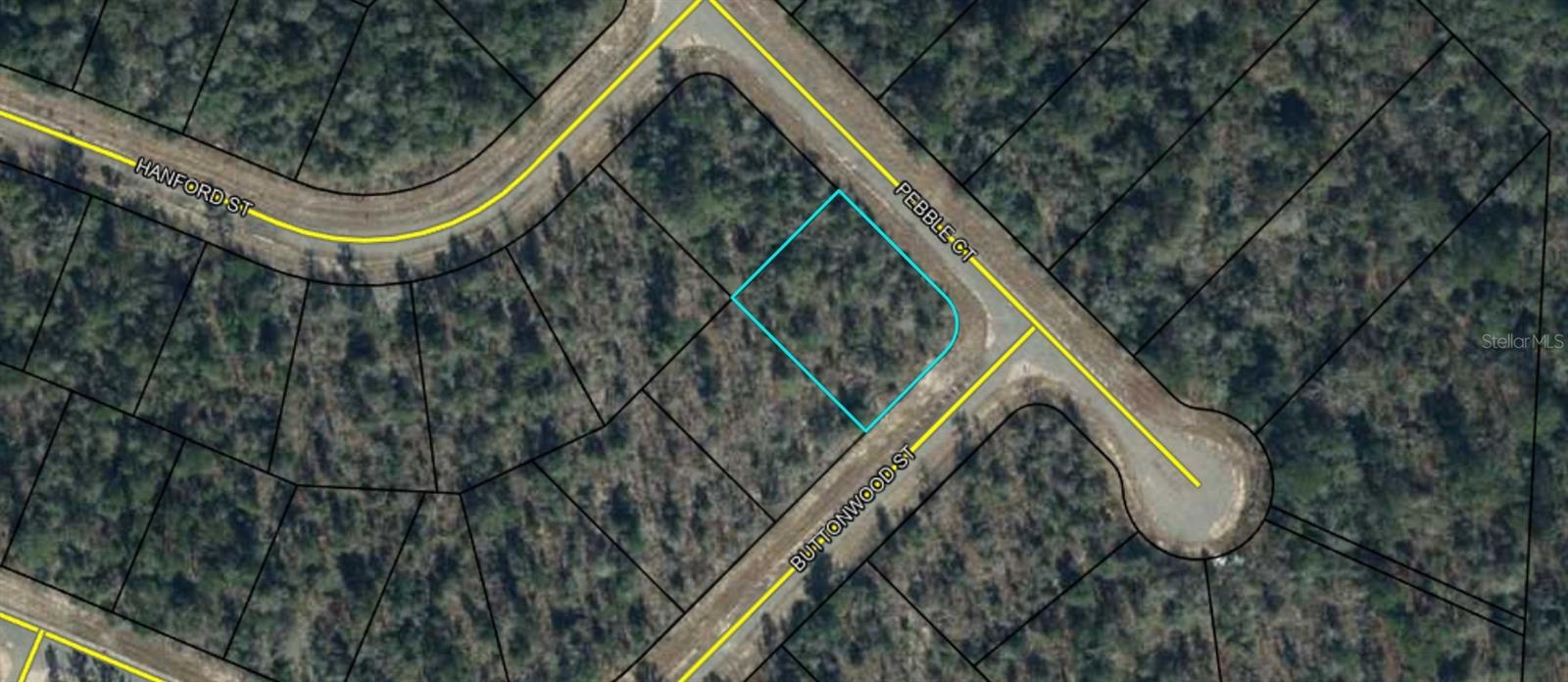 Buttonwood St Property Photo