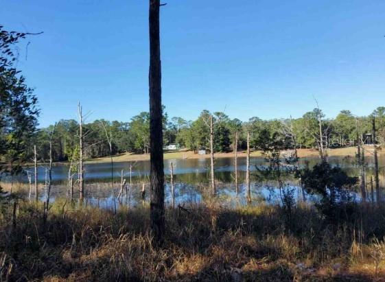 Lot 138 Se 168th Ter Property Photo 2