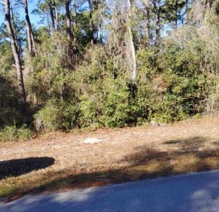 Lot 138 Se 168th Ter Property Photo 3