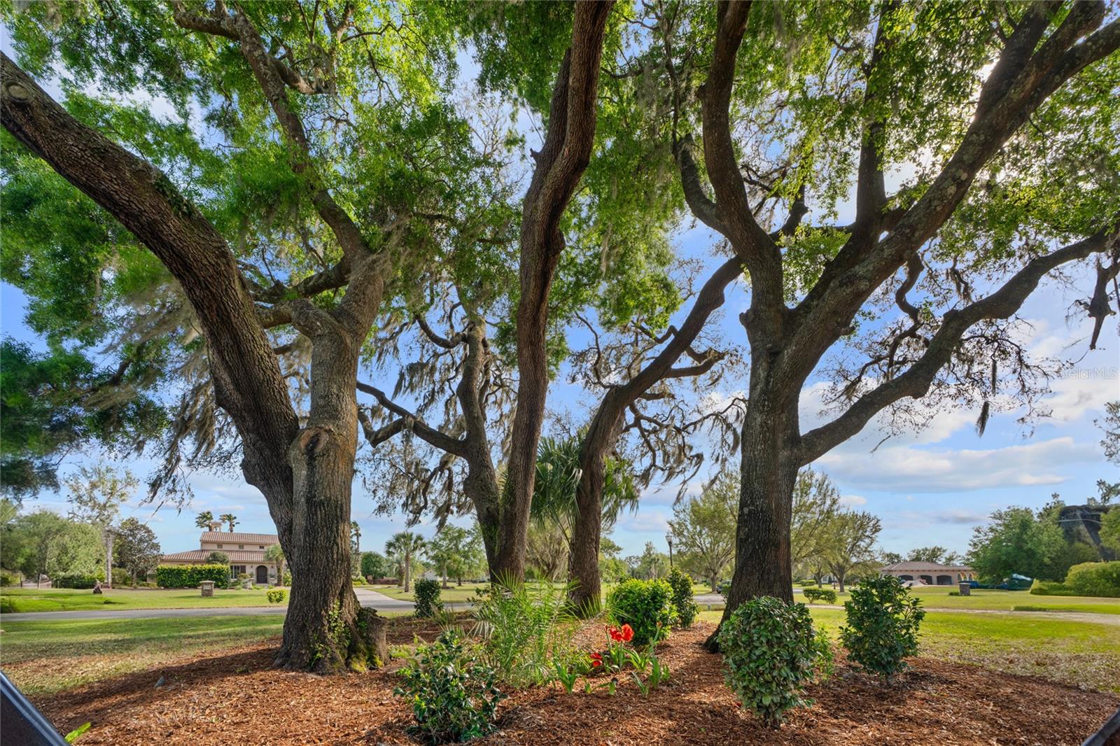 12380 Sw 140th Loop Property Photo 59