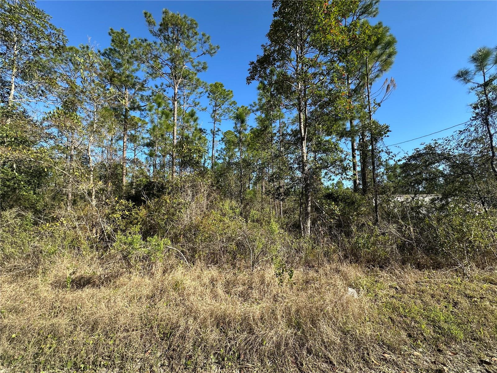 124 E Alachua St Property Photo