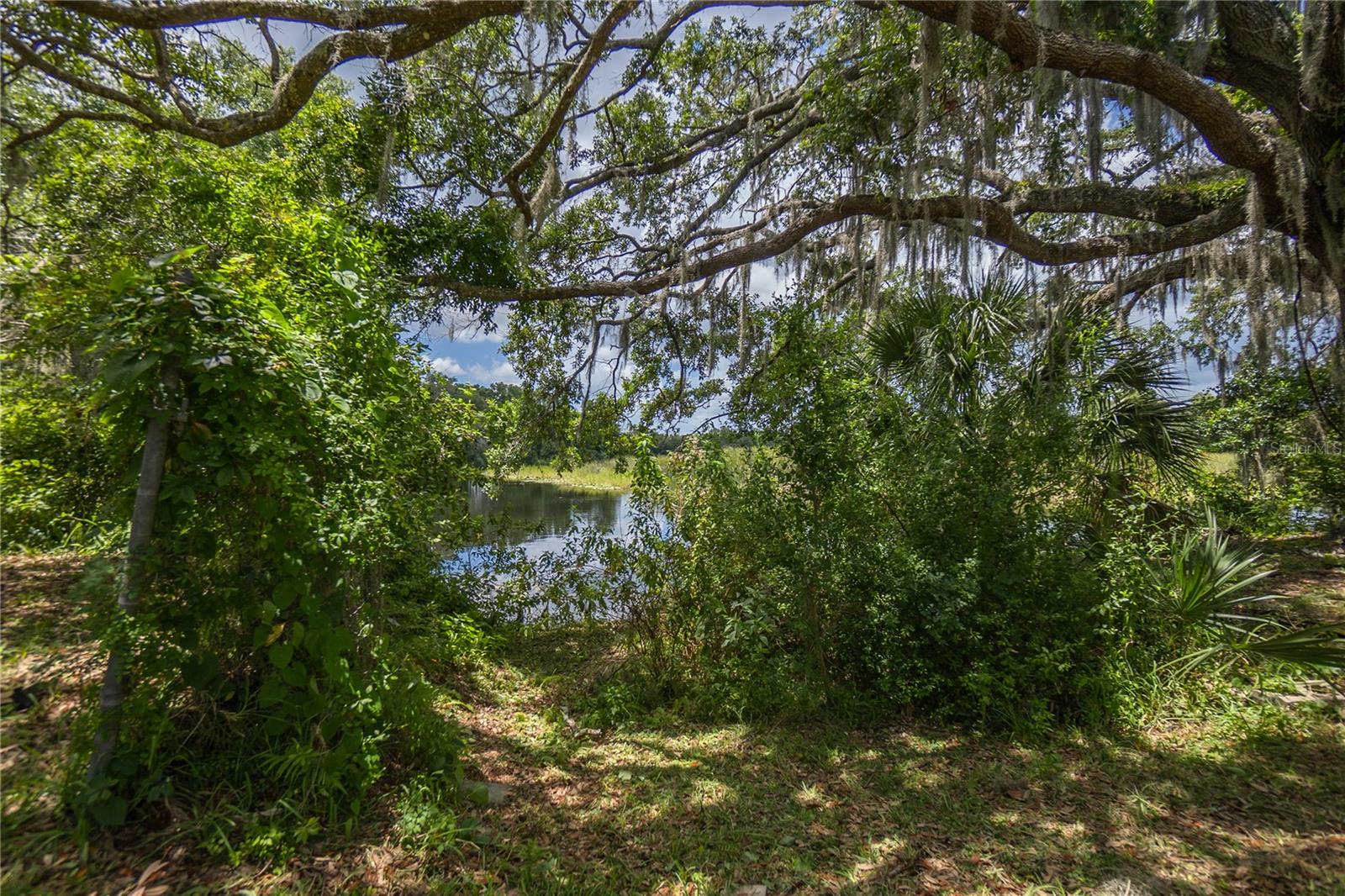 8929 E Gulf To Lake Hwy Property Photo 40
