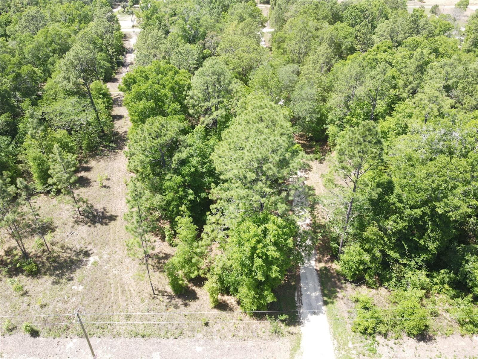 Sw 29 Ln Property Photo 5