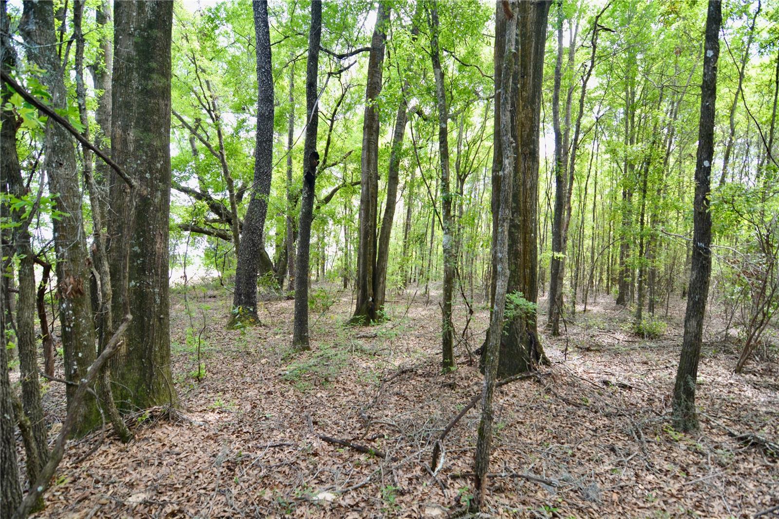 Sw County Road 138 Property Photo 1
