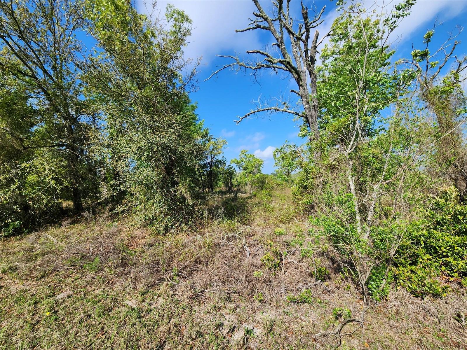 Oxalis Ct. Property Photo