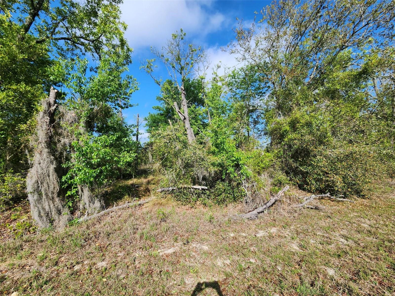 Tbd Sw Oxalis Ct #015 Property Photo