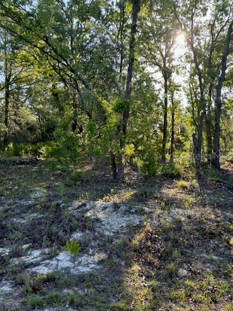 Tbd Malauka Trl Property Photo