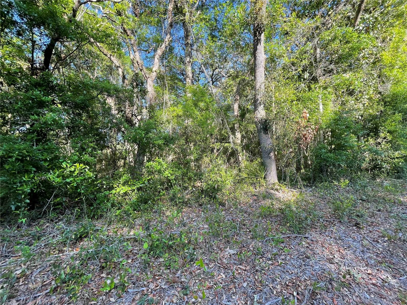 Lot 3 Nw 82 Ct Property Photo