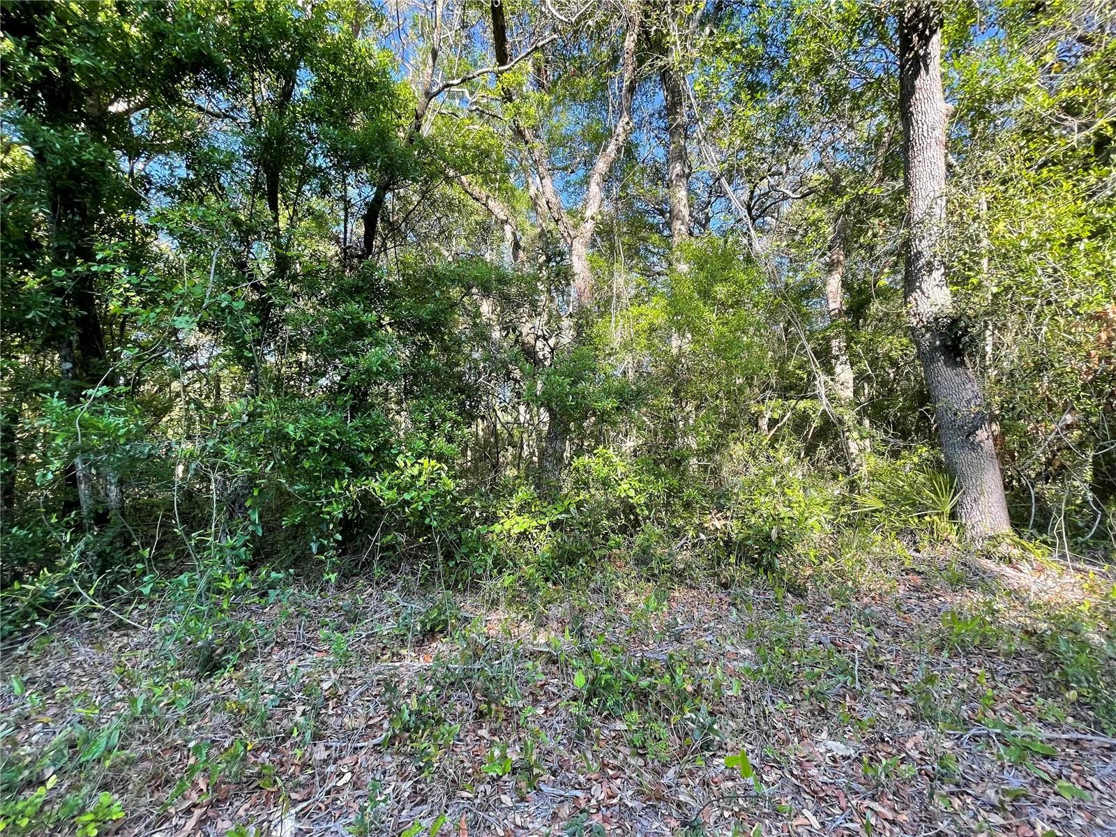 Lot 3 Nw 82 Ct Property Photo 2