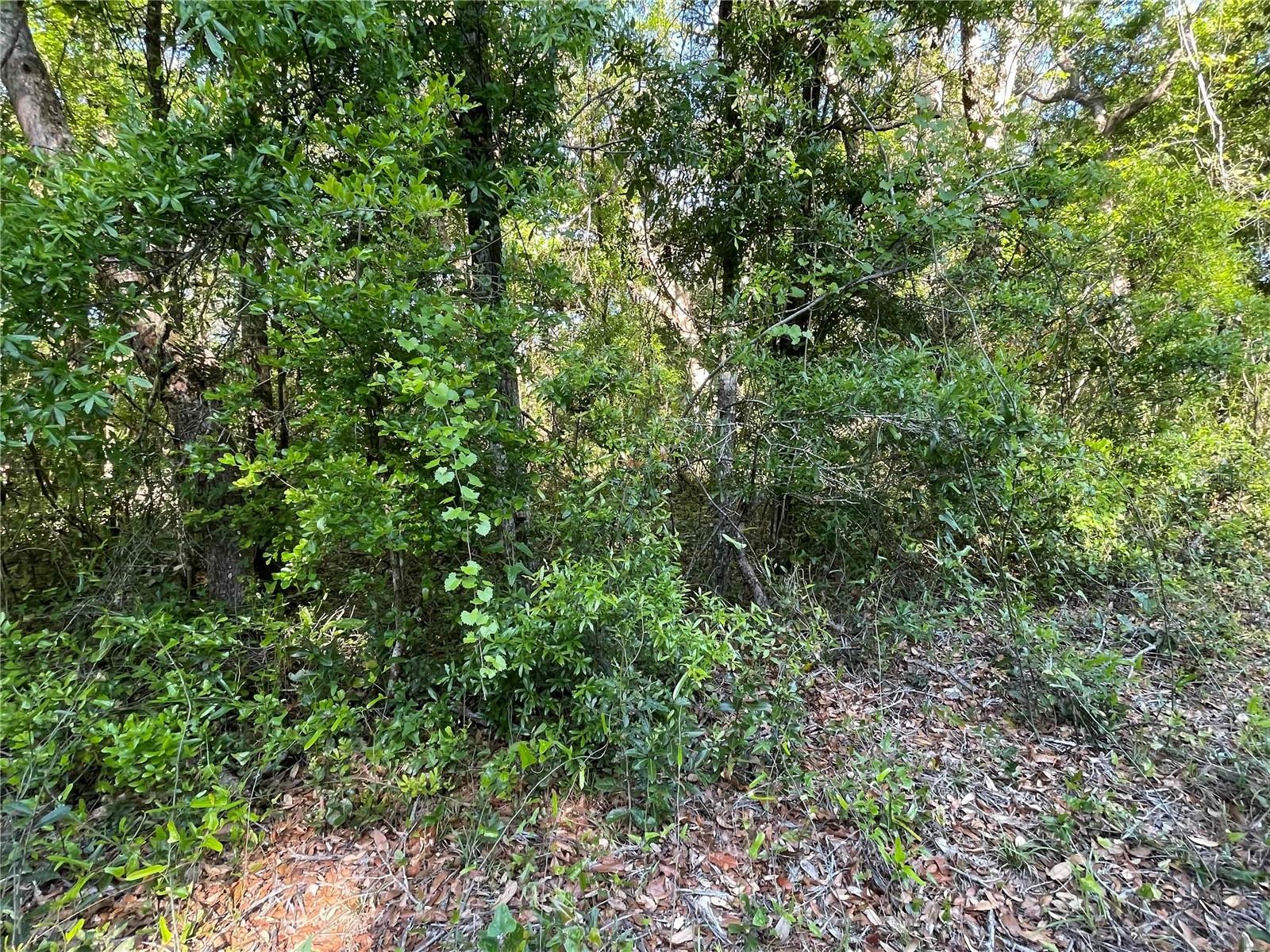 Lot 3 Nw 82 Ct Property Photo 3