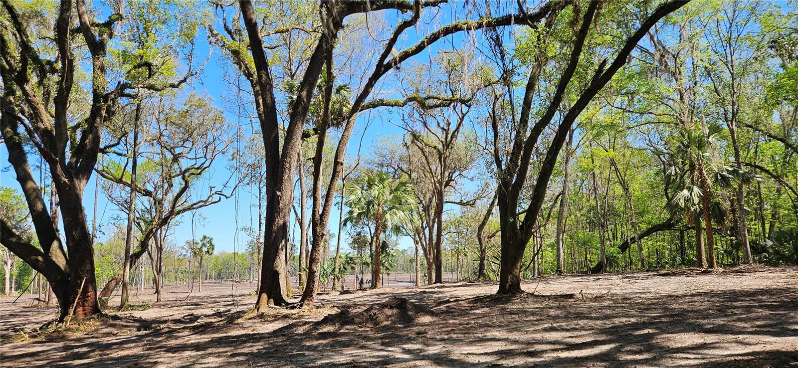 22ac Nw 193rd St Property Photo 4